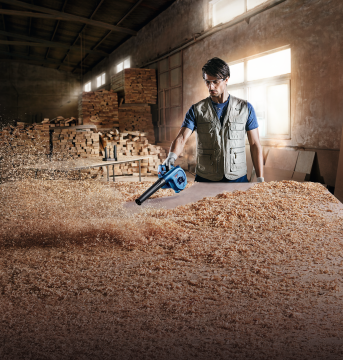 Bosch GBL 800E CE Üfleyici