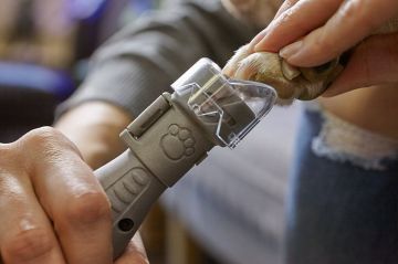 DREMEL Evcil Hayvan Tırnak Bakım Kiti