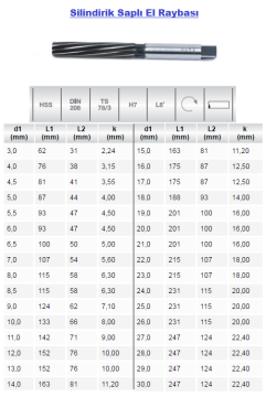 EVAR 206-21.0 MM Silindirik Saplı El Raybası