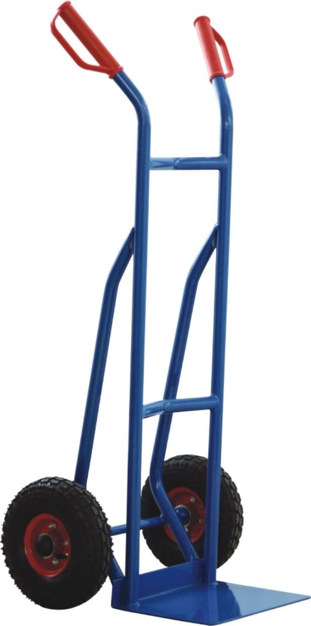 Biglift El Arabası RM-SSPN30 300 Kg