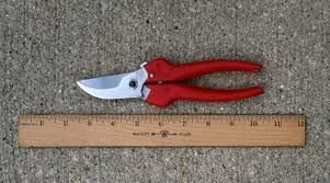 FELCO 300 Budama Makası By-Pass