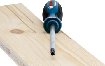 Bosch Profesyonel Torx Tornavida TX40x125