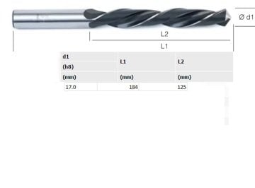 EVAR 17.0mm Silindirik Saplı Matkap Ucu-HSS