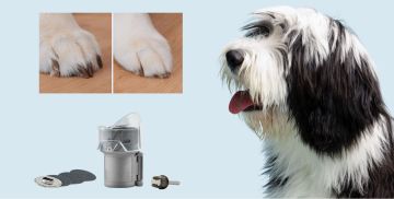 DREMEL® EVCİL HAYVAN TIRNAK BAKIMI KORUYUCU BAŞLIK KİTİ (AT02-PGK)