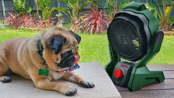 UniversalFan 18V-1000 (Solo)